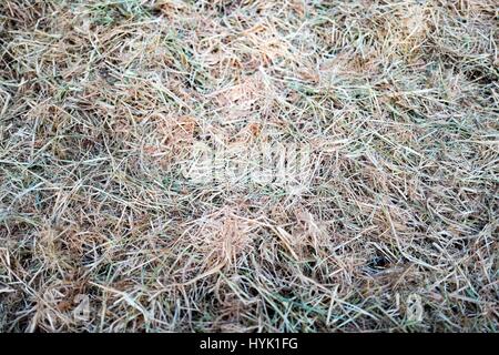 Foto aufgenommen im Jahr 2016 Stockfoto