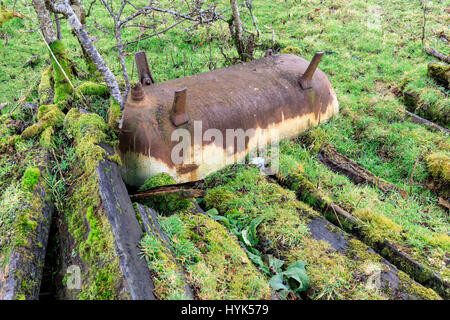 Alten umgedrehten Gusseisen Badewanne verlassen in einem Feld Stockfoto