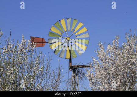 Die Fans von einer alten Metall windgetriebenen Wasserpumpe zwischen eine blühende Hecke vor blauem Himmel. Stockfoto