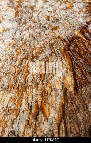 Stalaktiten in Demanovska Cave of Liberty in der Nähe von Liptovsky Mikulas, Slowakei Stockfoto