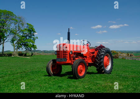 Internationale B-250 1957 McCormick Traktor Stockfoto