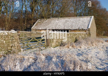 Kuhstall in Frost Stockfoto