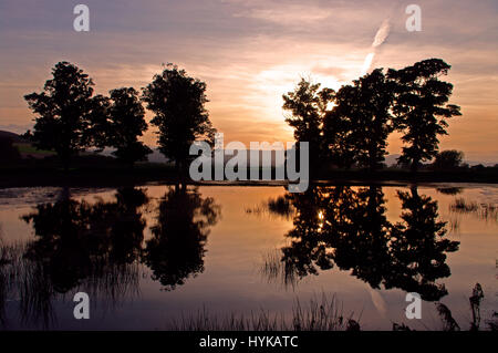 Sonnenuntergang über Cheviot Stockfoto