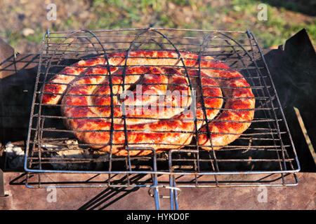 Rindfleisch Würstchen gegrillt auf einem Kohlen. Outdoor-Kielbasa Grill. BBQ auf Kohlenbecken. Stockfoto