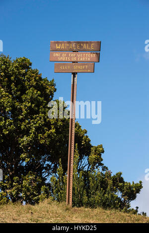 Melden Sie für Wai'Ale'Ale, einer der feuchtesten Orte auf Erden, Pu'u O Kila Lookout, Koke'e State Park, Kauai, Hawaii, USA Stockfoto