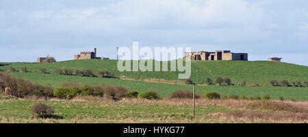 RSPB Reserve Bempton Klippen Stockfoto