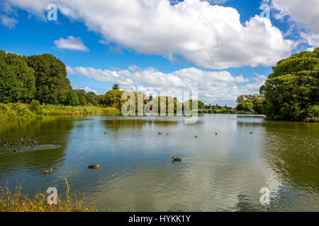 Centennial Parklands in östlichen Vororten Sydneys, beliebte öffnen Grünfläche, Sydney, Australien Stockfoto