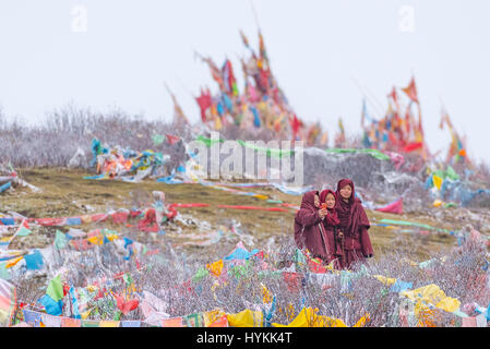 TIBET, CHINA: CHINA umgezogen, das größte tibetisch-buddhistischen Institut in der Welt zu zerstören, nachdem ein Arbeitsteam eingezogen, die Mönch Studentenstadt am Larung Gar zu zerlegen. Laut Londoner Free Tibet, ein chinesisches Team begleitet von Polizei, begann Beamte und Soldaten in Zivilkleidung Abriss Strukturen an Larung Gar buddhistische Akademie in Sertar County in Osttibet vor zwei Tagen. Schockierende Bilder und Video zur Verfügung gestellt von der Gruppe zeigen der Zerstörung, die hat in der einmal Blick auf die Stadt und liegen in krassem Gegensatz zu den atemberaubenden Bildern e Stockfoto