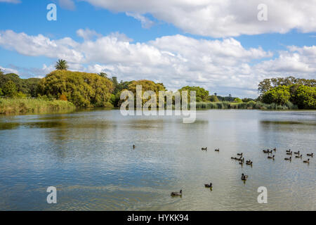 Centennial Parklands in östlichen Vororten Sydneys, beliebte öffnen Grünfläche, Sydney, Australien Stockfoto