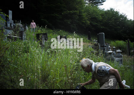 OTAMA Dorf, FUKUSHIMA: Toshinoris acht-vier Jahre alten Mutter neigt dazu, ein Grab. EINE Familie fünf Jahre Kampf um die Fukushima-Katastrophe zu überwinden, indem die Bewohner der Strahlung in einem ergreifenden Foto-Bericht dokumentiert. Die Sanpei Familie Otama Dorf, nur 40 Meilen von der Atomkatastrophe von Fukushima haben gekämpft, um ihren Milchviehbetrieb erhalten zu halten und verteidigen ihre Lebensweise gegen radioaktiven Lecks. Die Bilder, von denen die letzte wurden gerade in diesem Monat, schließlich zeigen Toshinori und Keiko erneut vor eine gesund aussehende Herde steht. Der "Black Rain" Foto-Profi Stockfoto