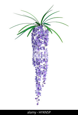 3D-Rendering wilde Orchidee blüht isoliert auf weißem Hintergrund Stockfoto