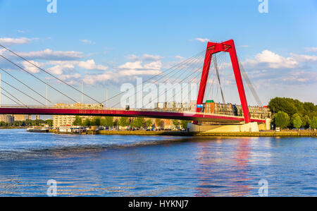 Die Willemsbrug oder Williams-Brücke in Rotterdam - Niederlande Stockfoto