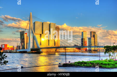 Erasmusbrücke in Rotterdam - Niederlande Stockfoto