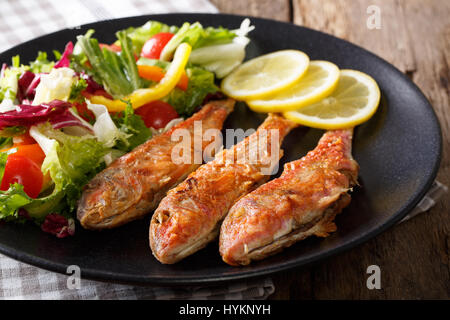 Köstlichen Fisch Rotbarbe mit frischen Mischung Gemüsesalat Nahaufnahme auf einer Platte. Horizontale Stockfoto