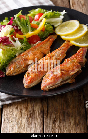 Köstlichen Fisch Rotbarbe mit frischen Mischung Gemüsesalat Nahaufnahme auf einer Platte. vertikale Stockfoto