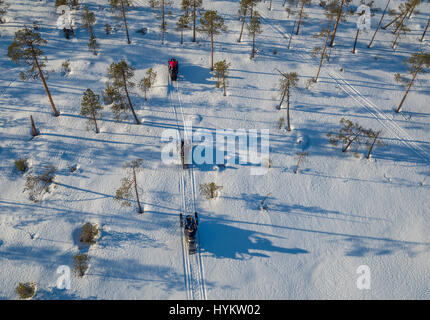 Motorschlitten, Lappland, Schweden. Drohne-Fotografie Stockfoto