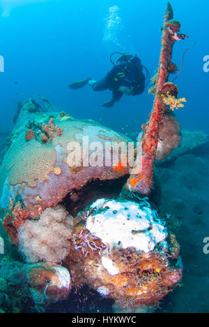 Salomonen, Pazifik: Ein Bild von einem Kampfflugzeug Mitsubishi A6M Zero Langstrecken. DIE Reste einer heftigen Zweiter Weltkrieg Schlacht wurden am Einhundertacht fünf Fuß unter Wasser gefangen genommen. Bilder zeigen diese einst so mächtigen Kriegsmaschinen, jetzt auf dem Meeresboden schlummert.  Einen japanischen Mitsubishi A6M Zero long Ranger-Kampfflugzeuge, ein Amerika Grumman-F6F-3 Hellcat und einer Boeing b-17 Flying Fortress in verschiedenen Graden der gezeigt werden zerfallen mit bunten Korallen wächst ab jetzt ihre verrosteten Granaten, von die einige die menschlichen Überreste der tragischen Besatzungsmitglieder (nicht abgebildet) enthalten. C Stockfoto