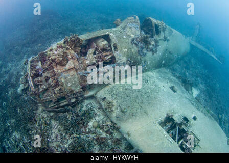 Salomonen, Pazifik: Ein Bild von einer Grumman F6F-3 Hellcat Träger basierten Kampfflugzeuge. DIE Reste einer heftigen Zweiter Weltkrieg Schlacht wurden am Einhundertacht fünf Fuß unter Wasser gefangen genommen. Bilder zeigen diese einst so mächtigen Kriegsmaschinen, jetzt auf dem Meeresboden schlummert.  Ein Jagdflugzeug der japanischen Mitsubishi A6M Zero long Ranger, ein Amerika Grumman-F6F-3 Hellcat und einer Boeing b-17 Flying Fortress erscheinen in verschiedenen Graden des Zerfalls mit bunten Korallen wächst ab jetzt ihre verrosteten Schalen, von die einige die menschlichen Überreste der tragischen Besatzungsmitglieder (kein Bild enthalten Stockfoto