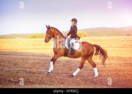 Frau ein Pferd reiten. Equestrian Sportlerin jockey Stockfoto