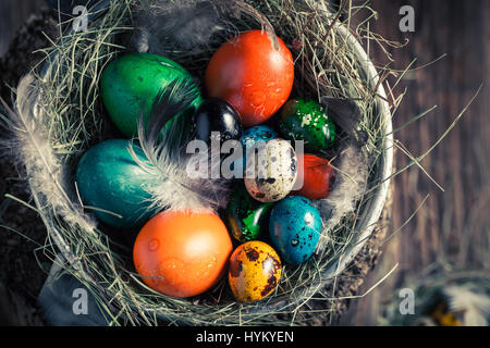 Frische Ostereier im Nest mit Heu Stockfoto