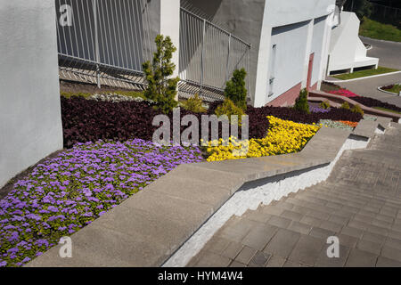 Ein öffentlicher Park. Beete mit verschiedenen Arten Farbe der Blumen entlang der Treppe. Stockfoto