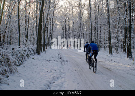 Eine Gruppe von Radfahrern im verschneiten Winterwald Stockfoto