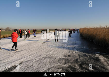 Hals, Wijdewormer, Niederlande 10. Januar 2009: Ice Tellspiele in Winterlandschaft. Eine traditionelle Eis Tellspiele Tour 'De Bannetocht' Stockfoto