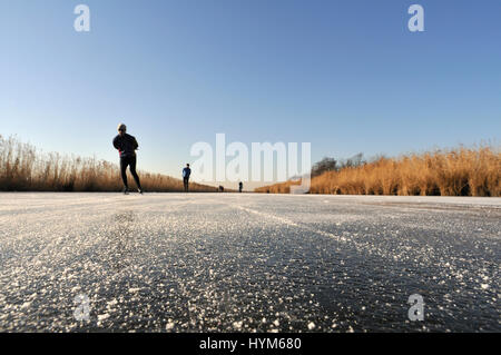 Hals, Wijdewormer, Niederlande 10. Januar 2009: Ice Tellspiele in Winterlandschaft. Eine traditionelle Eis Tellspiele Tour 'De Bannetocht' Stockfoto