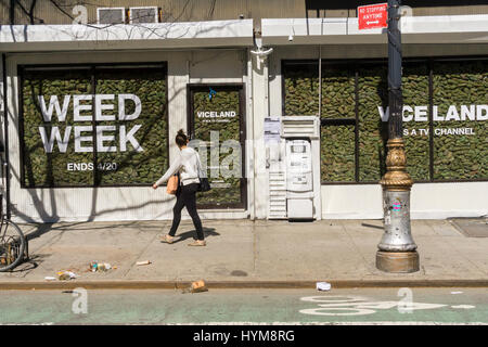 Zwei Schaufenster im Stadtteil Lower East Side von New York sind gefüllt mit "faux" Marihuana auf Mittwoch, 29. März 2017 als Promotion für die so genannte "Unkraut-Woche" Programmierung auf Viceland-TV-Kanal. Die Feier von allen Dingen Marihuana findet auf Viceland-Kabel-Kanal vom 17.-20. April. 20. April ist bekannt als 420 in Cannabiskultur und ist ein Feiertag für Rauchen von Marihuana, vor allem bei 04:20 oder Uhr (© Richard B. Levine) Stockfoto