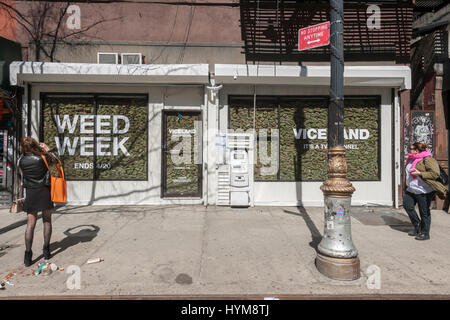 Zwei Schaufenster im Stadtteil Lower East Side von New York sind gefüllt mit "faux" Marihuana auf Mittwoch, 29. März 2017 als Promotion für die so genannte "Unkraut-Woche" Programmierung auf Viceland-TV-Kanal. Die Feier von allen Dingen Marihuana findet auf Viceland-Kabel-Kanal vom 17.-20. April. 20. April ist bekannt als 420 in Cannabiskultur und ist ein Feiertag für Rauchen von Marihuana, vor allem bei 04:20 oder Uhr (© Richard B. Levine) Stockfoto