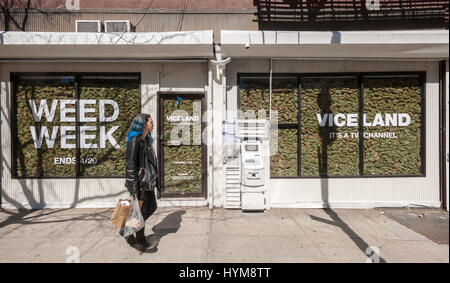 Zwei Schaufenster im Stadtteil Lower East Side von New York sind gefüllt mit "faux" Marihuana auf Mittwoch, 29. März 2017 als Promotion für die so genannte "Unkraut-Woche" Programmierung auf Viceland-TV-Kanal. Die Feier von allen Dingen Marihuana findet auf Viceland-Kabel-Kanal vom 17.-20. April. 20. April ist bekannt als 420 in Cannabiskultur und ist ein Feiertag für Rauchen von Marihuana, vor allem bei 04:20 oder Uhr (© Richard B. Levine) Stockfoto