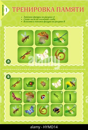 Memory Spiel Kinder. Erlernen von Insekten. Gedächtnistraining Stock Vektor