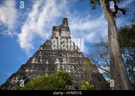 Tempel I von der Maya-Ausgrabungsstätte von Tikal, von der Seite gesehen. Guatemala, Mittelamerika Stockfoto