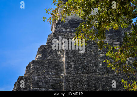 Nahaufnahme des Tempels von der Maya-Ausgrabungsstätte von Tikal in Guatemala. Zentralamerika Stockfoto