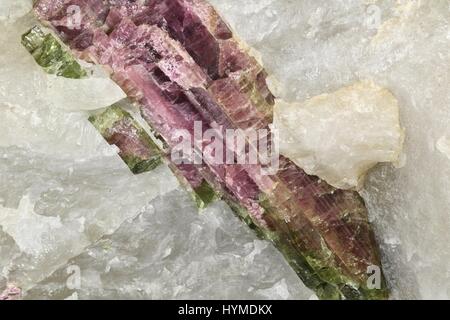 Wassermelonen Turmalin Quarz-Matrix in Brasilien gefunden Stockfoto