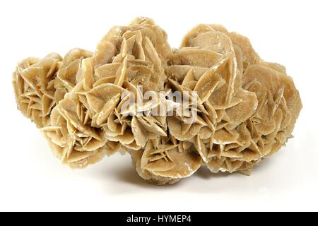 Desert Rose gefunden in Tunesien isoliert auf weißem Hintergrund Stockfoto