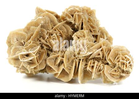 Desert Rose gefunden in Tunesien isoliert auf weißem Hintergrund Stockfoto