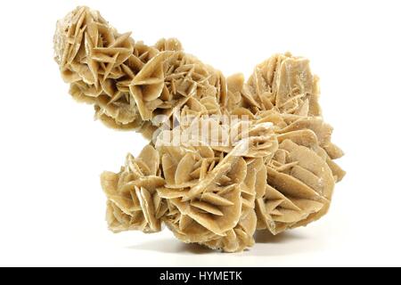 Desert Rose gefunden in Tunesien isoliert auf weißem Hintergrund Stockfoto