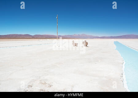 Salinas Grandes und Symbole (Flagge von Argentinien, Lama und Kakteen) Stockfoto