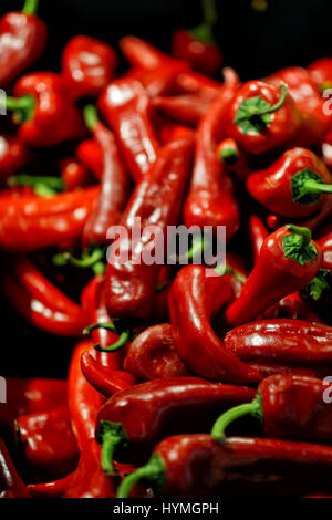 viele rote Chilischoten, Hintergrund Stockfoto