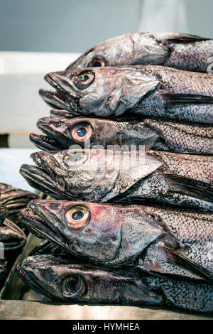 Fangfrischen Fisch auf dem Fischmarkt in Cadiz, Andalusien, Spanien Stockfoto