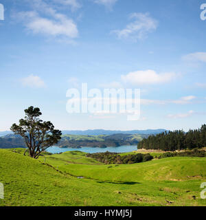 Ein Blick über die Coromandel Halbinsel in der Nordinsel von Neuseeland. Stockfoto