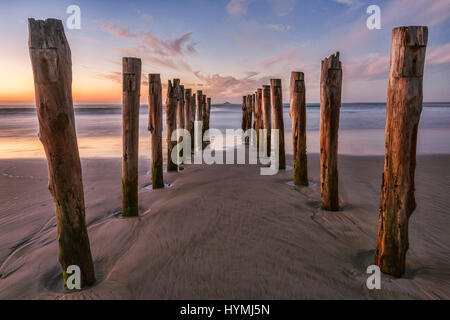 Alte Mole Beiträge bei Sonnenaufgang auf St Clair Beach, Dunedin, Otago, Neuseeland. Stockfoto