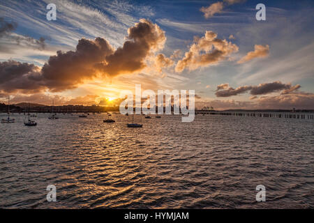 Auckland von Okahu Bay, Neuseeland, bei Sonnenuntergang. Stockfoto