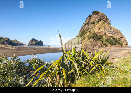 Piha Beach, an Aucklands Westküste und Lion Rock. Stockfoto