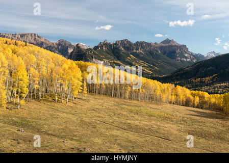 Hohen Mesa Fialen befinden sich in der Cimarron Valley of South Western Colorado. Stockfoto