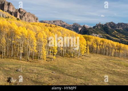 Hohen Mesa Fialen befinden sich in der Cimarron Valley of South Western Colorado. Stockfoto