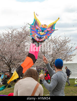 Menschen, die fliegenden Drachen auf der National Mall in 2017 nationale Drachenfest - Washington, DC USA Stockfoto