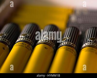 Schließen Sie herauf Bild der COHIBA handgemachte kubanische Zigarren, Havanna, Kuba Stockfoto