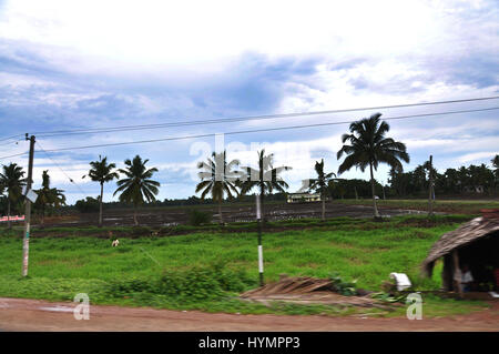 Kerala – Gottes eigenes Land in der westlichen Spitze der Halbinsel Indien (Photo Copyright © by Saji Maramon) Stockfoto